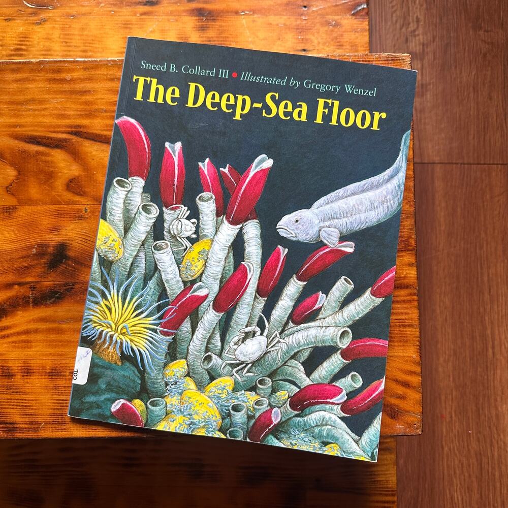 Vintage 2003 The Deep-Sea Floor Paperback Book